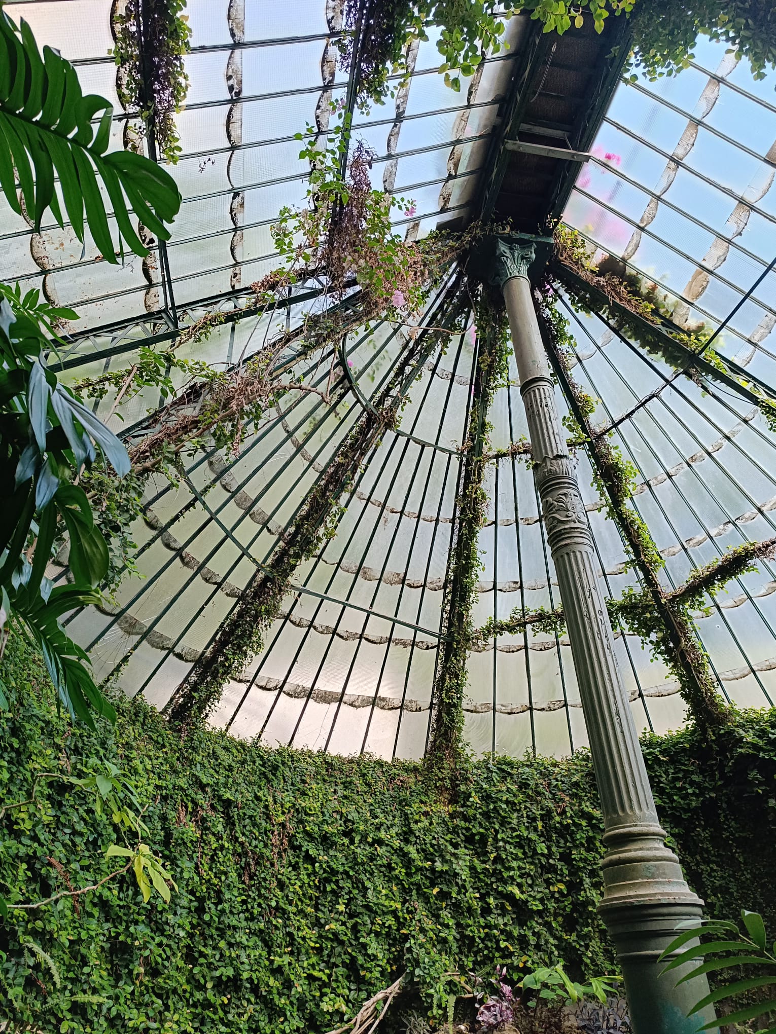 Espacio vegetal cubierto con estructura arquitectónica