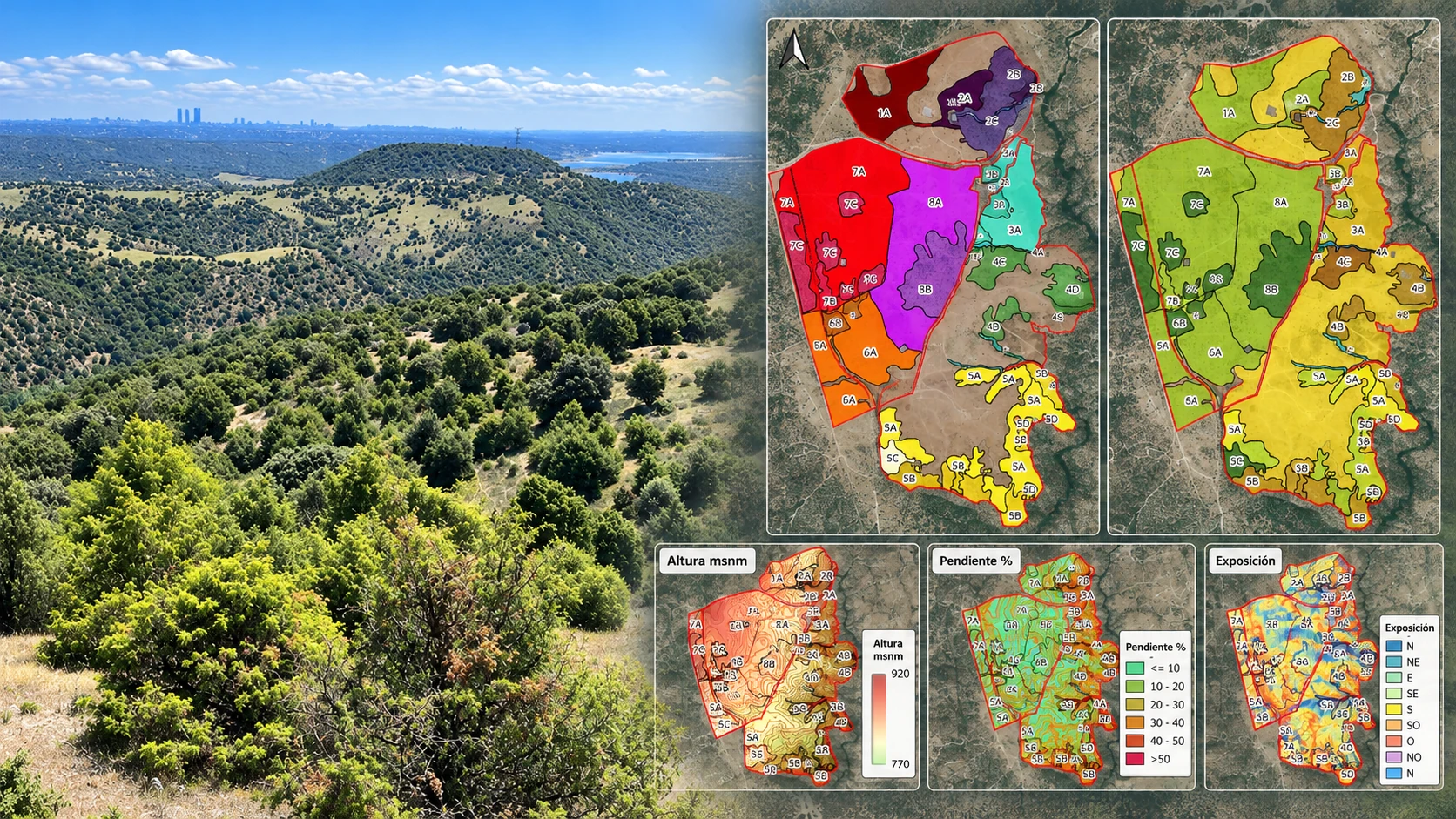 Monte y cartografía técnica de ordenación forestal
